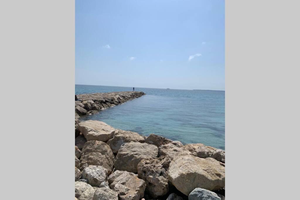 Juan Les Pins Joli T2 Parking Inclus! Antibes Exterior foto